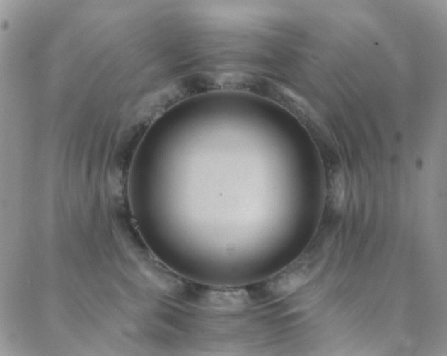 X0000089710571200706211346