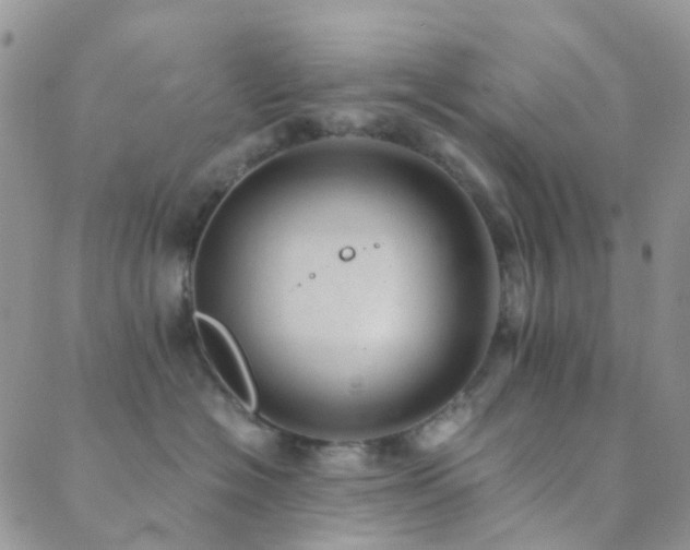 X0000089710574200706211346