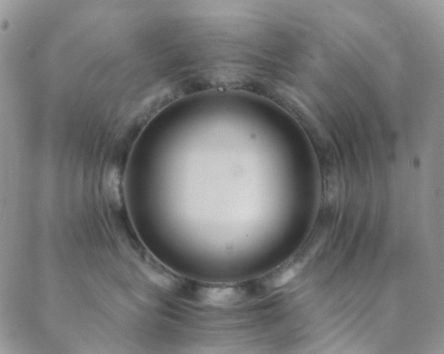 X0000089710575200706211346