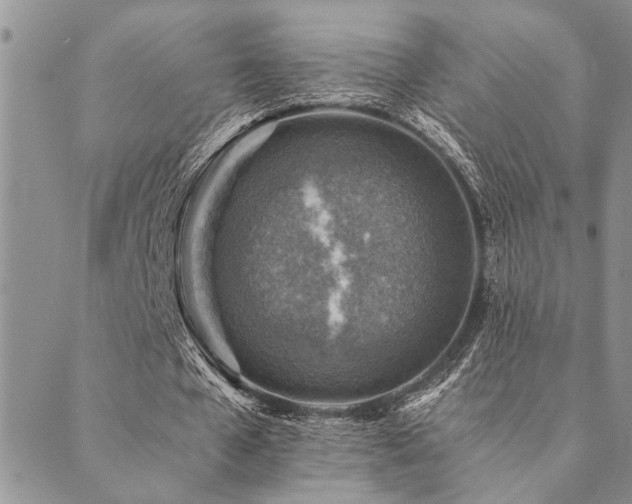 X0000089710577200706211345