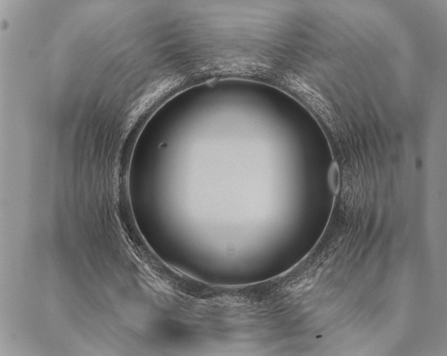 X0000089710578200706211345