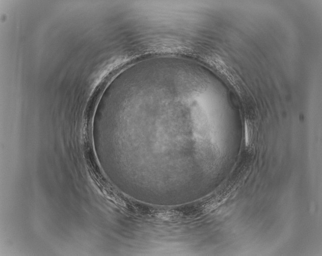 X0000089710579200706211345