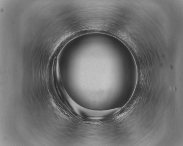 X0000089710580200706211345