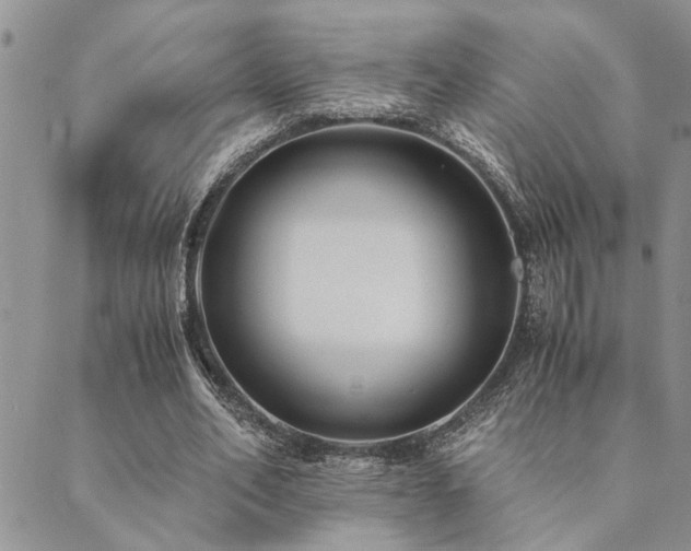 X0000089710582200706211345