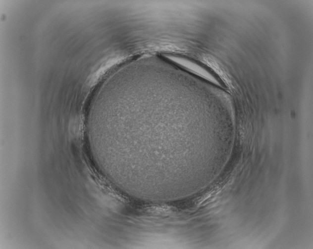 X0000089710583200706211345