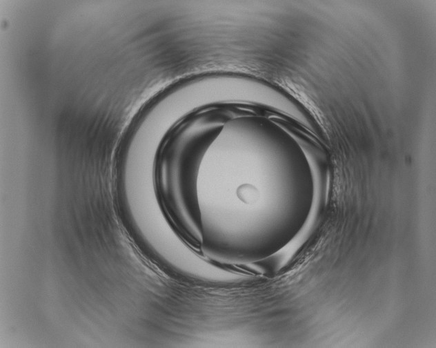 X0000089710584200706211345