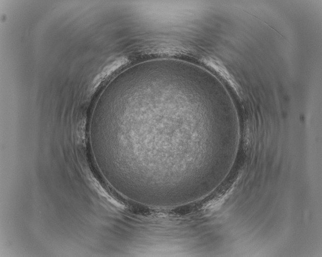 X0000089710585200706211345