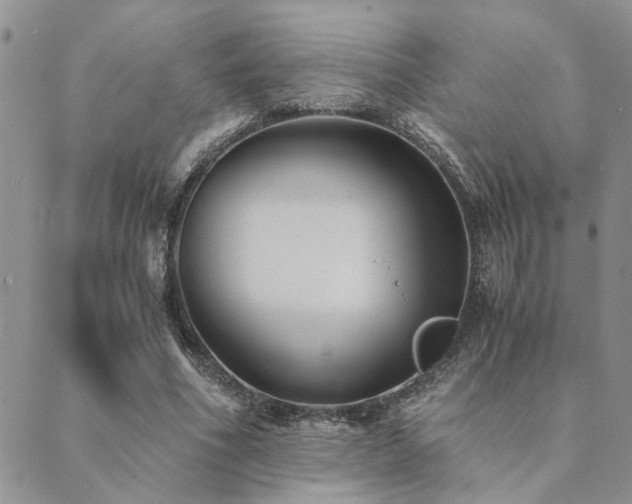 X0000089710586200706211345