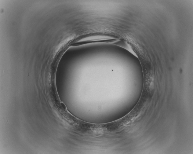 X0000089710587200706211345