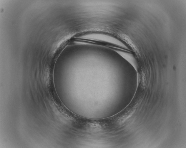 X0000089710588200706211345