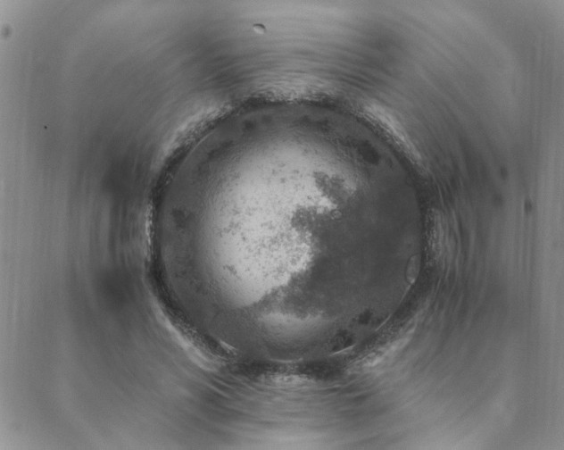 X0000089710590200706211345