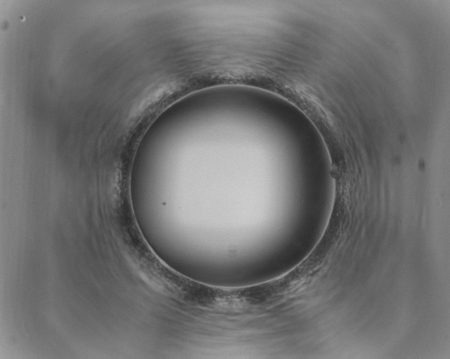 X0000089710591200706211345