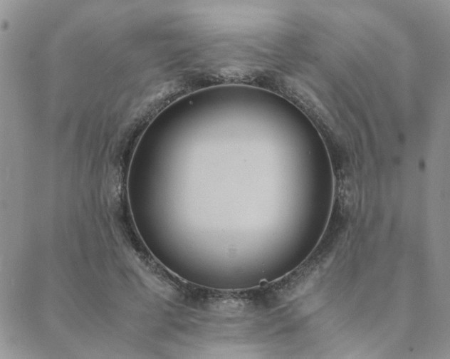 X0000089710593200706211345