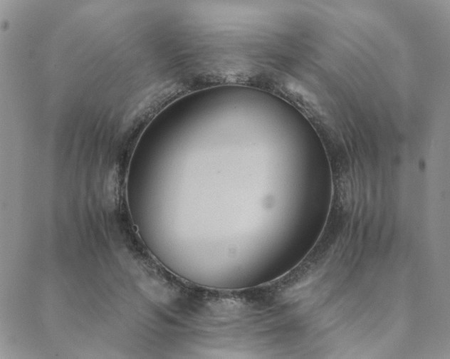 X0000089710594200706211345