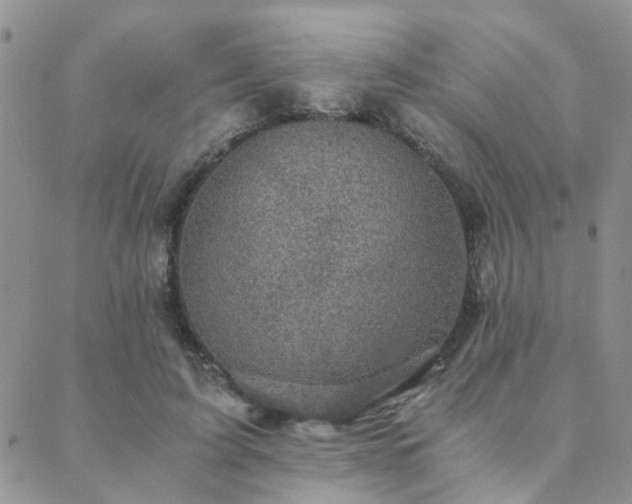 X0000089710595200706211345