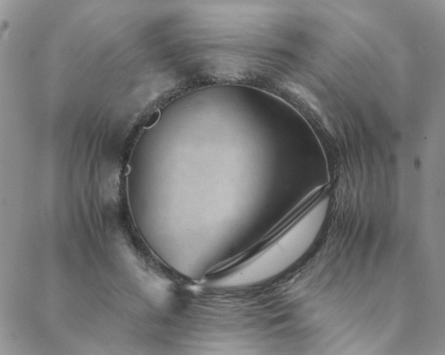 X0000089710596200706211345