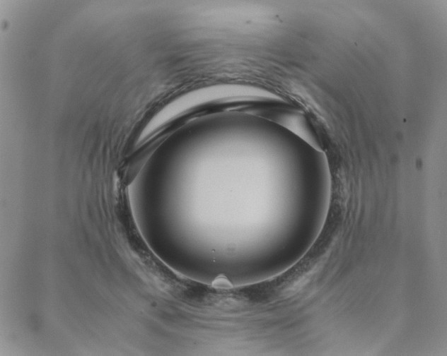 X0000089710597200706211345