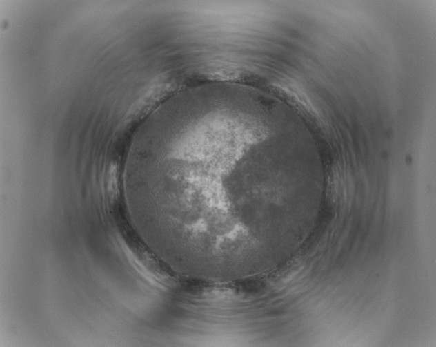 X0000089710598200706211345