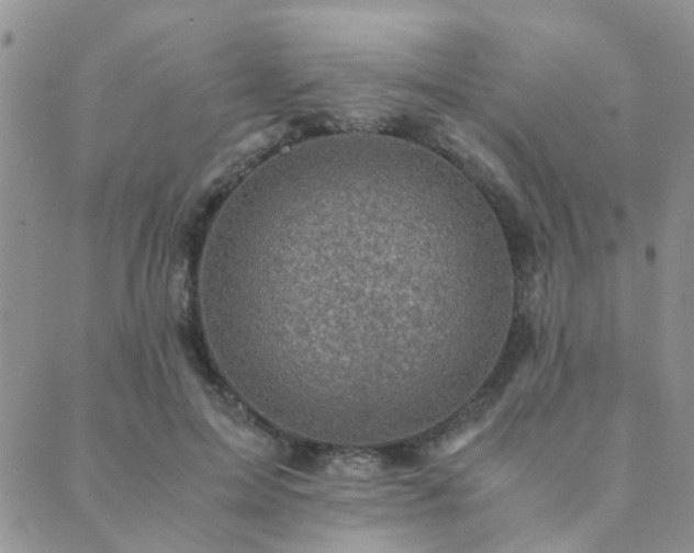 X0000089710599200706211345