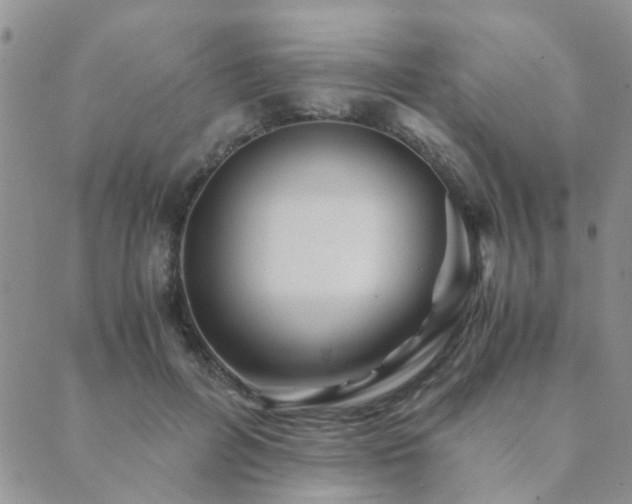 X0000089710600200706211345