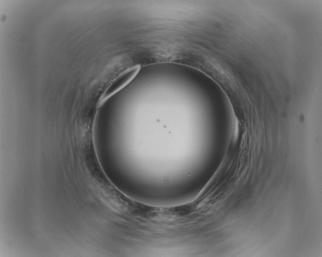 X0000089710601200706211345