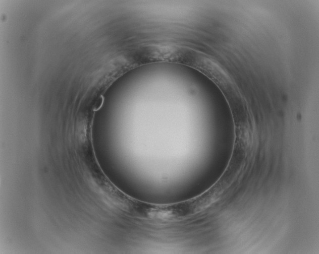 X0000089710602200706211345