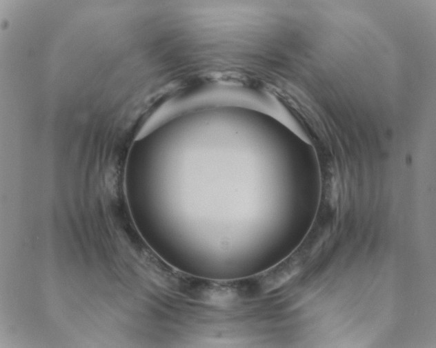 X0000089710604200706211345