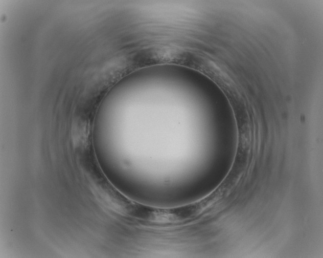 X0000089710605200706211345