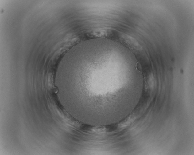 X0000089710606200706211345