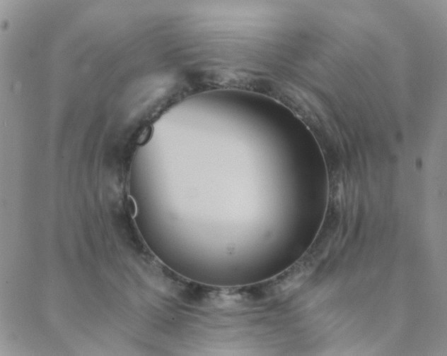 X0000089710607200706211345