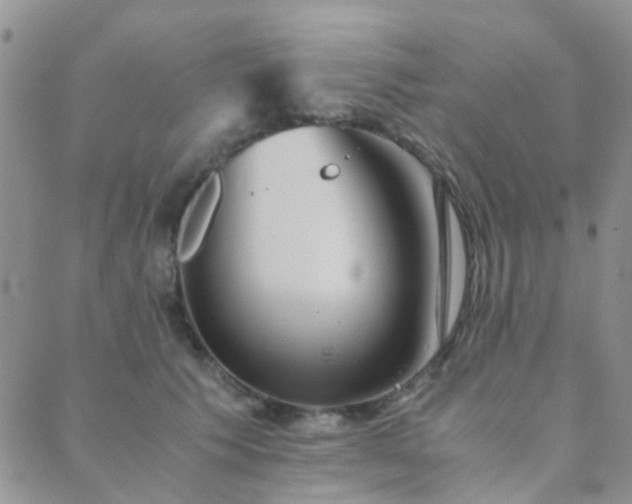 X0000089710609200706211345