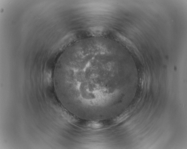 X0000089710610200706211345