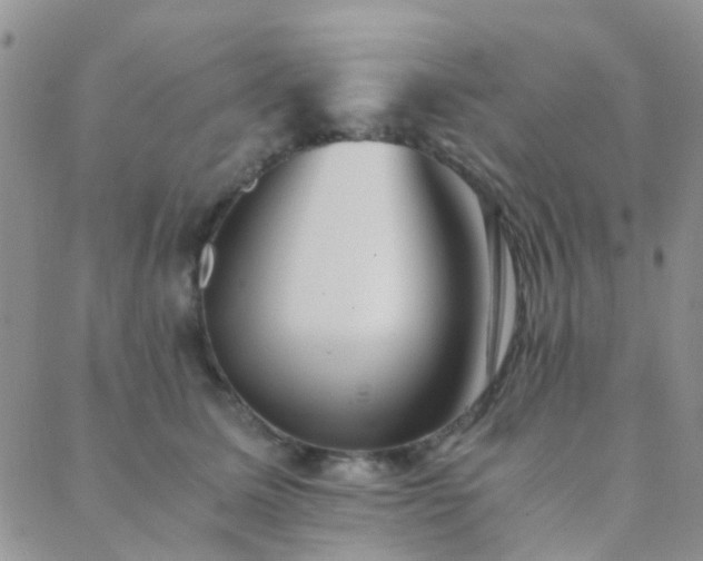 X0000089710611200706211345