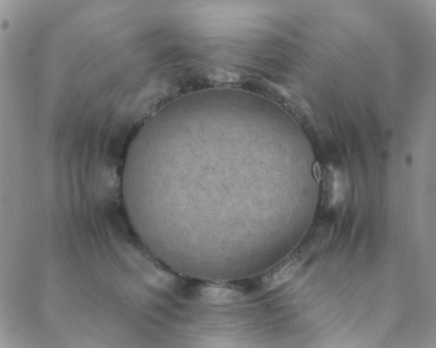 X0000089710614200706211345