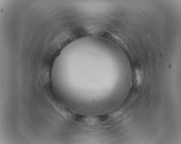 X0000089710615200706211345