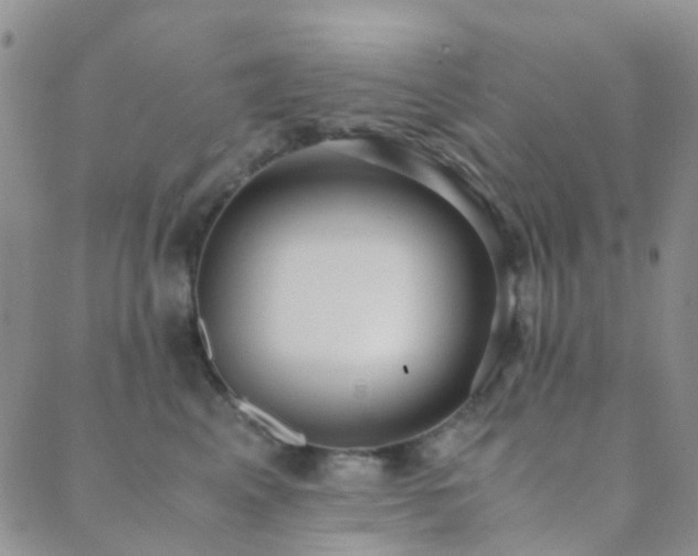 X0000089710617200706211345