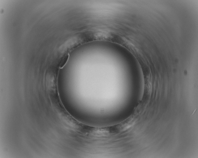 X0000089710619200706211345