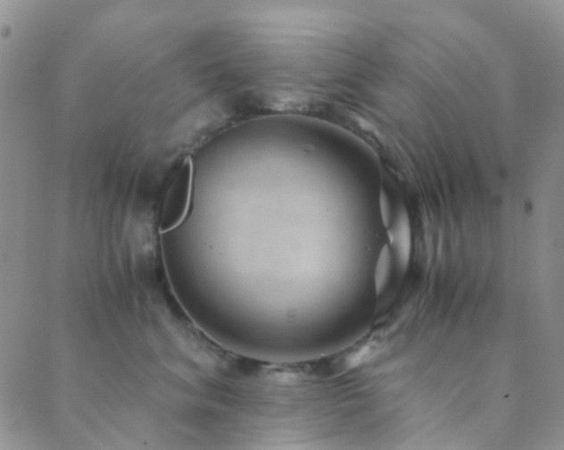 X0000089710620200706211345