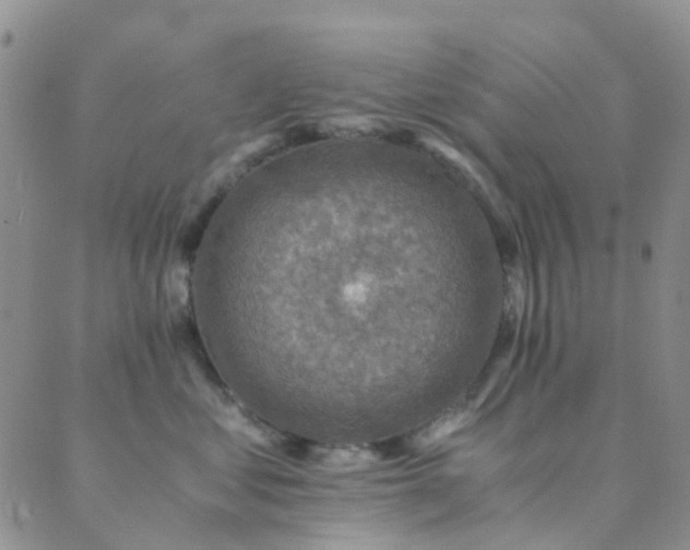 X0000089710621200706211345