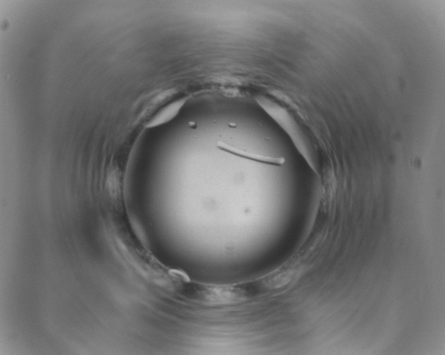 X0000089710623200706211345