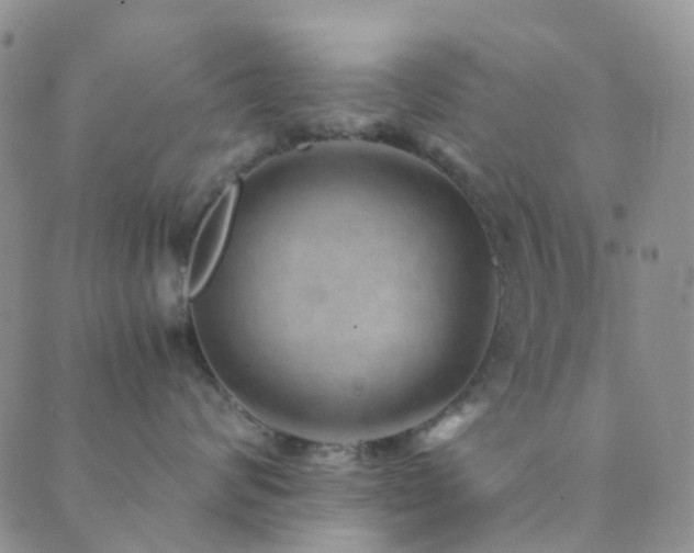 X0000089710624200706211345