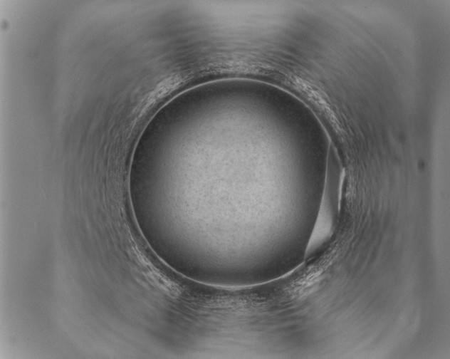 X0000089710625200706211344