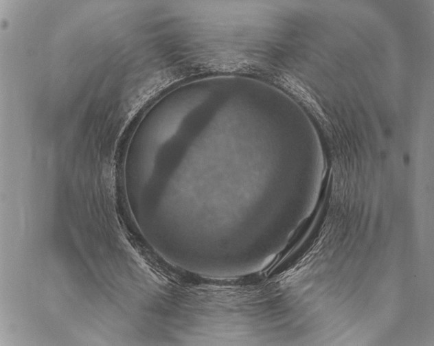 X0000089710626200706211344