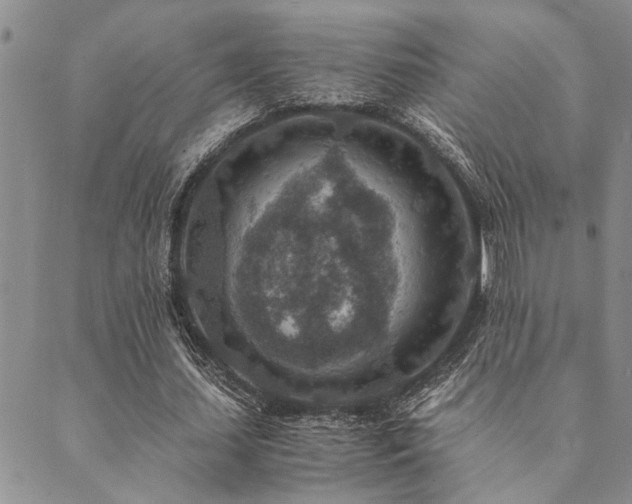 X0000089710627200706211344