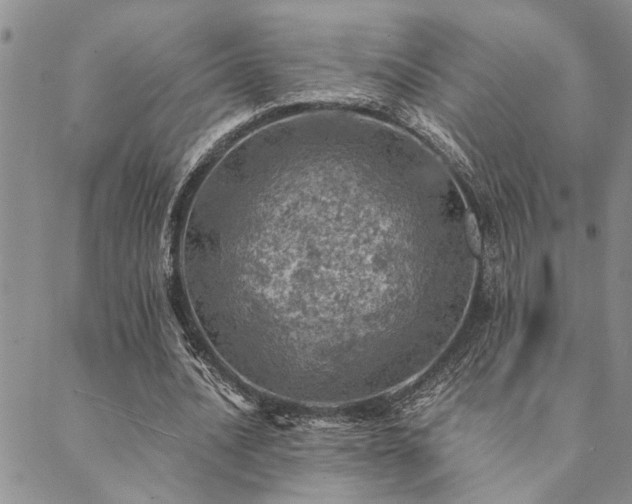 X0000089710628200706211344