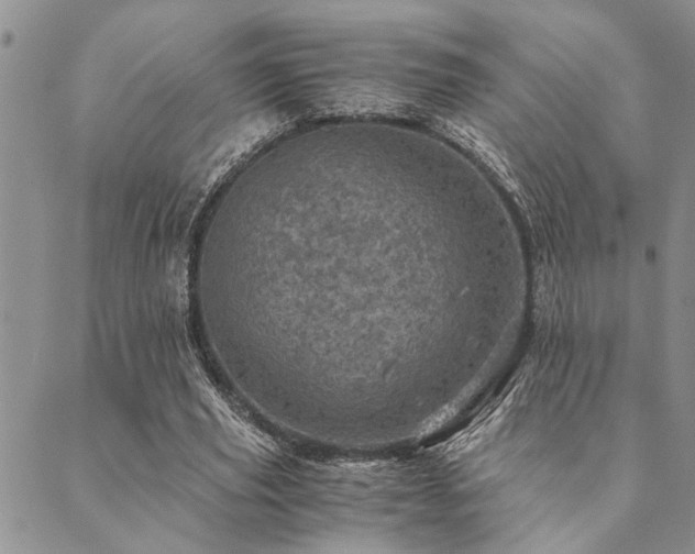 X0000089710629200706211344