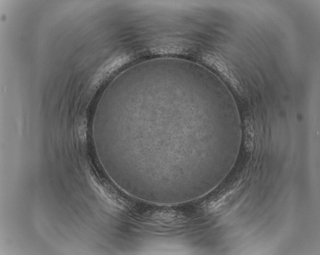 X0000089710631200706211344