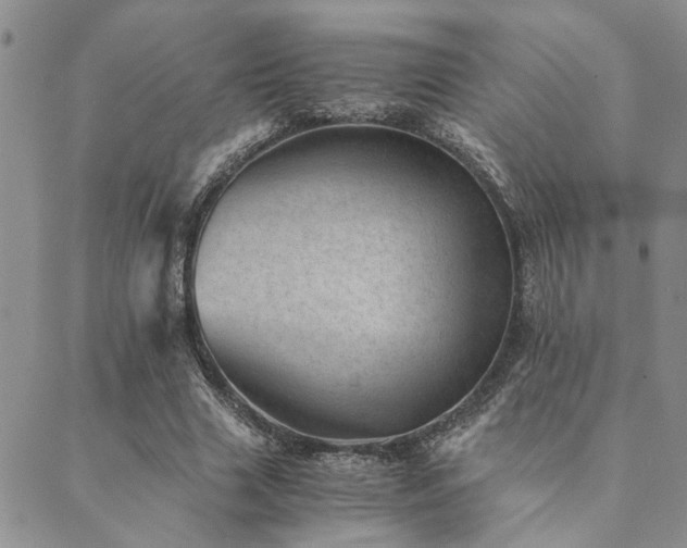 X0000089710633200706211344