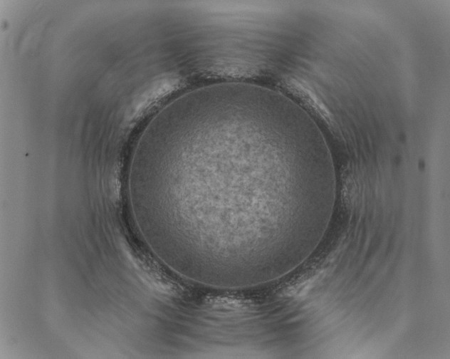 X0000089710635200706211344