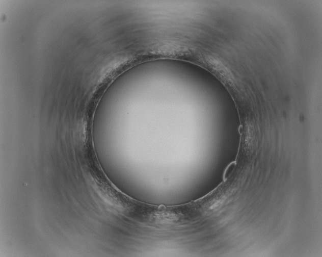 X0000089710636200706211344